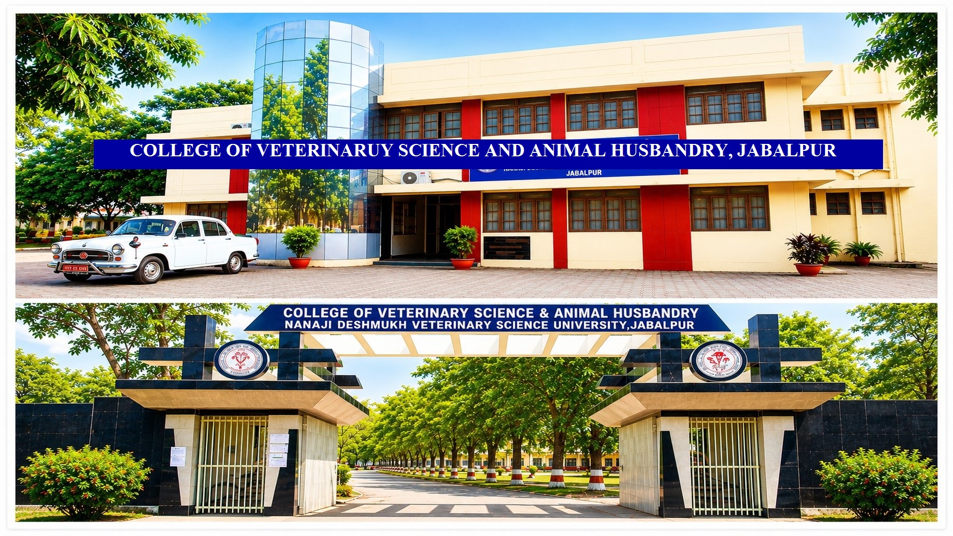 Veterinary College, Jabalpur