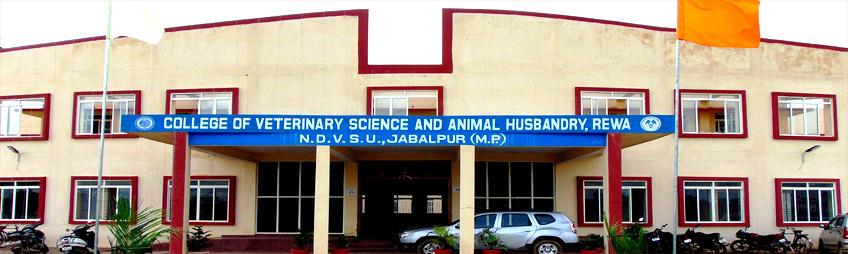 Veterinary College, Rewa