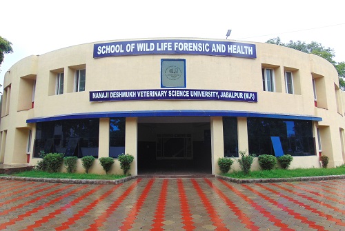 School of Wildlife Forensic and Health