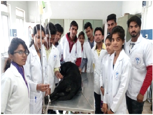 Veterinary Polytechnic Bhopal