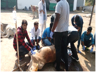 Veterinary Polytechnic Bhopal