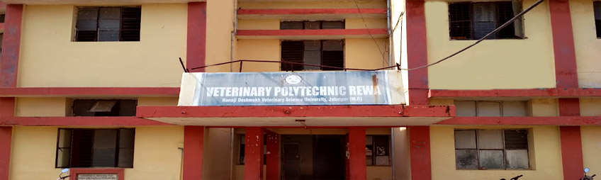 Veterinary Polytechnic, Rewa