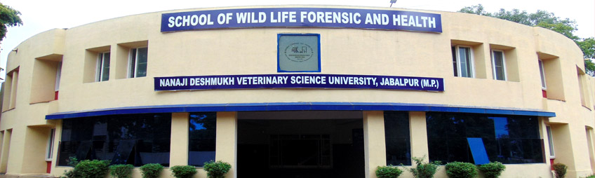 School of Wildlife Forensic and Health